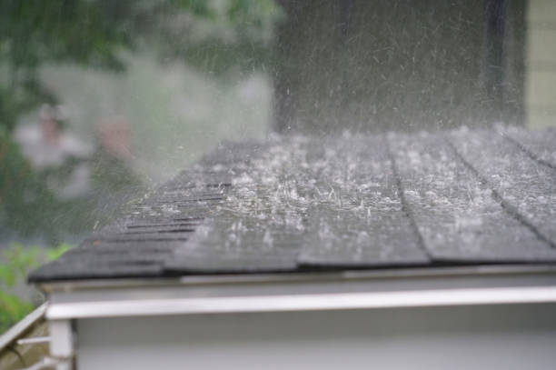 Best Roof Coating and Sealing  in Corunna, MI