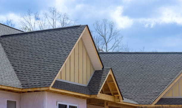 Best Roof Moss and Algae Removal  in Corunna, MI