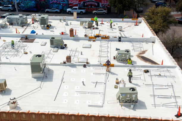 Best Asphalt Shingles Roofing  in Corunna, MI