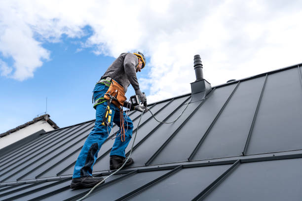 Best Solar Panel Roofing Installation  in Corunna, MI